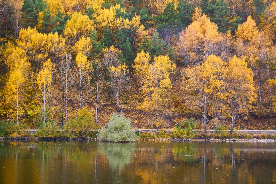 Nature beautiful background