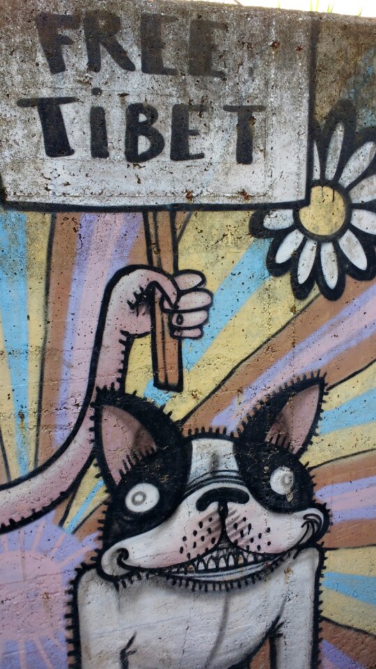 Dog smiling urban