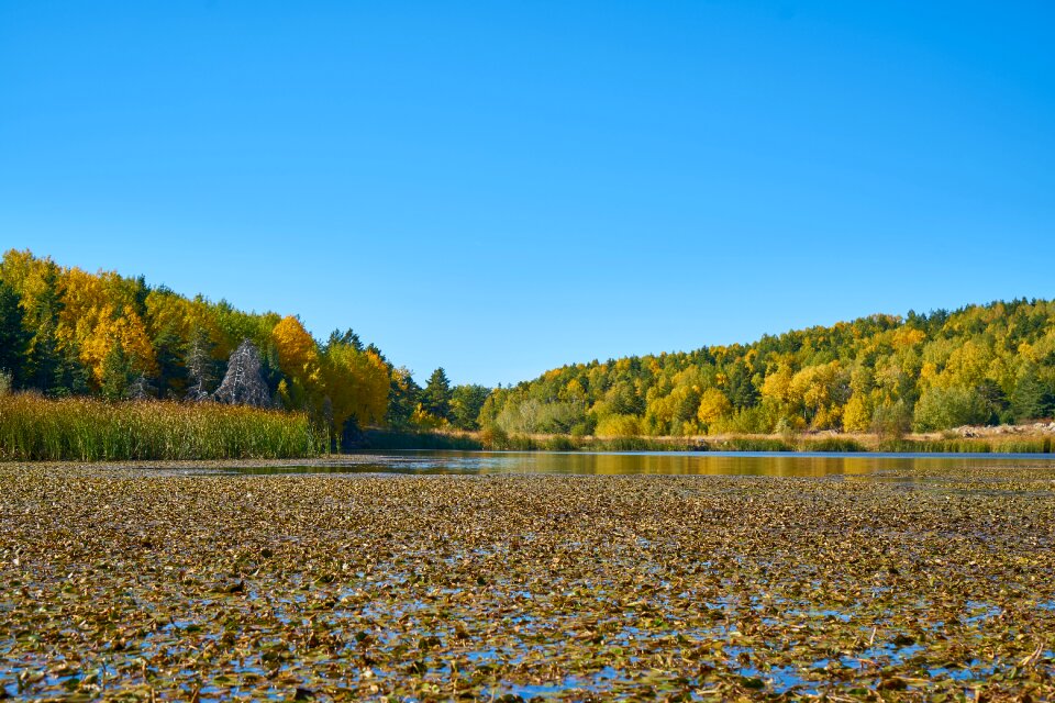 Nature beautiful background