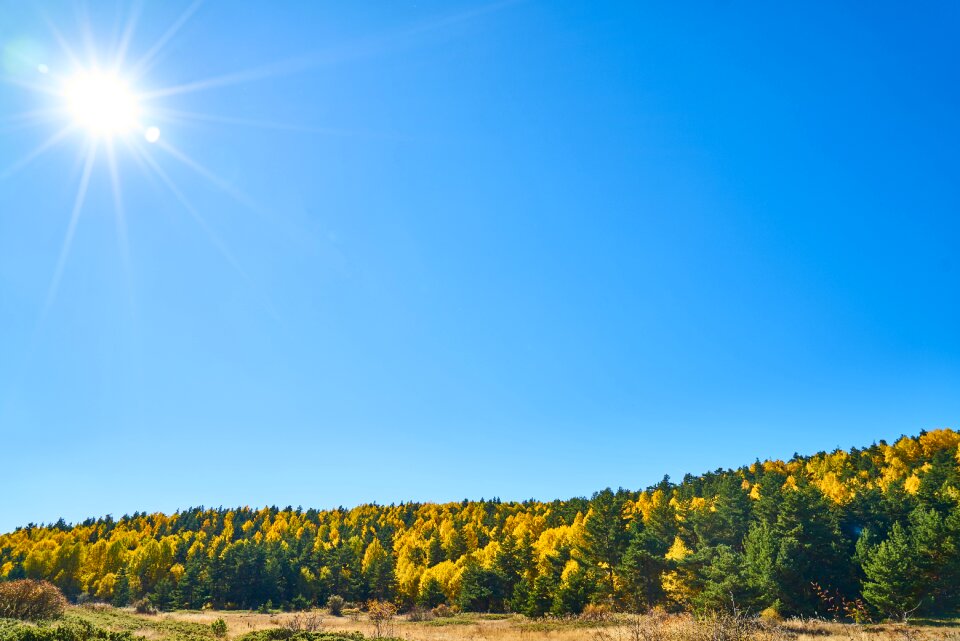 Nature beautiful background