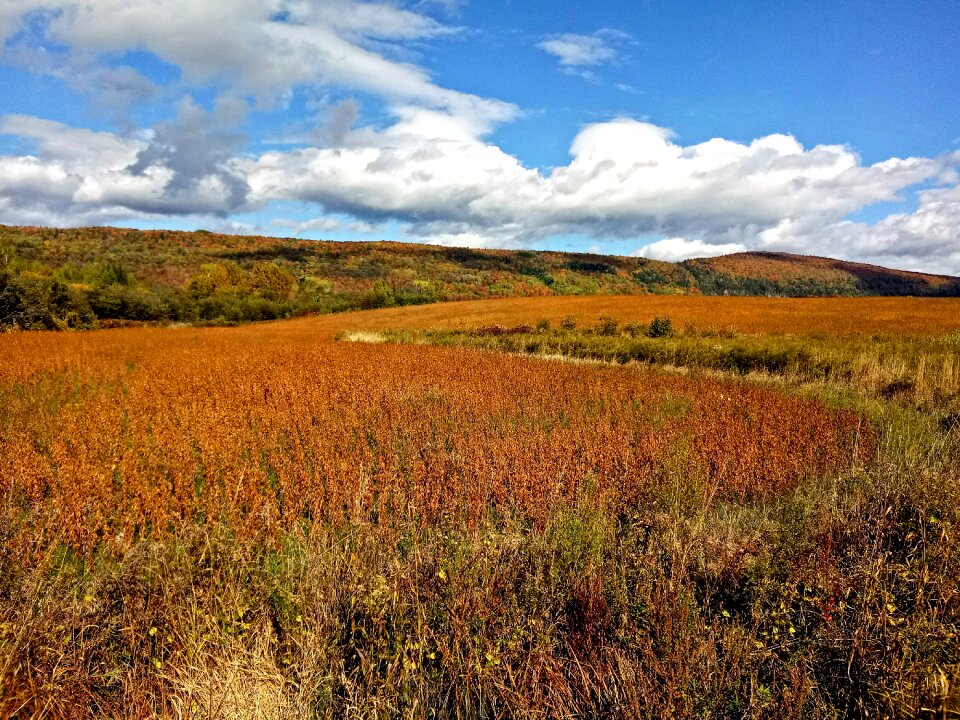Canada nature season