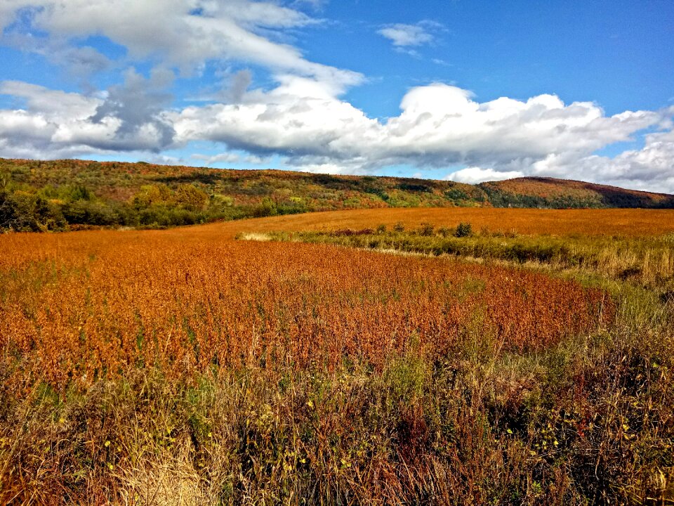 Canada nature season photo