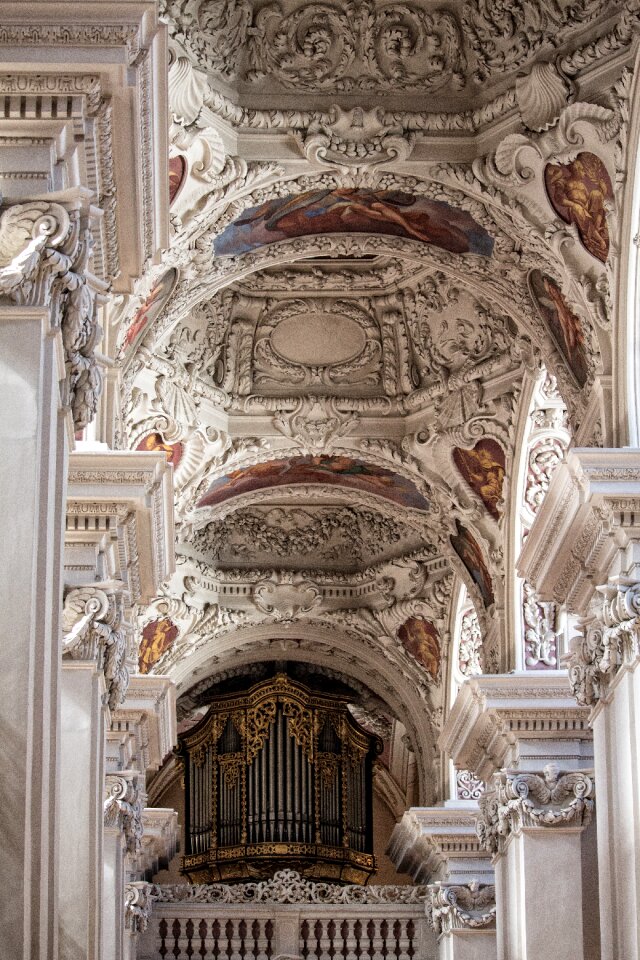 Organ golden frescoes