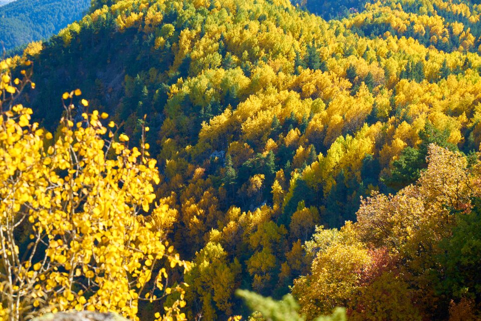 Nature beautiful background