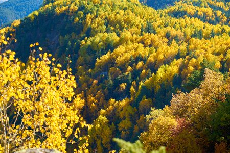 Nature beautiful background