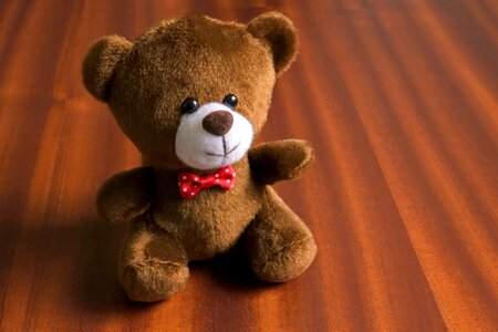 Souvenir toy bear photo