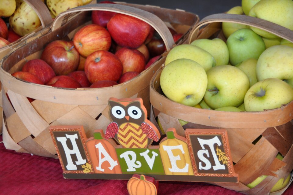 Autumn food fall