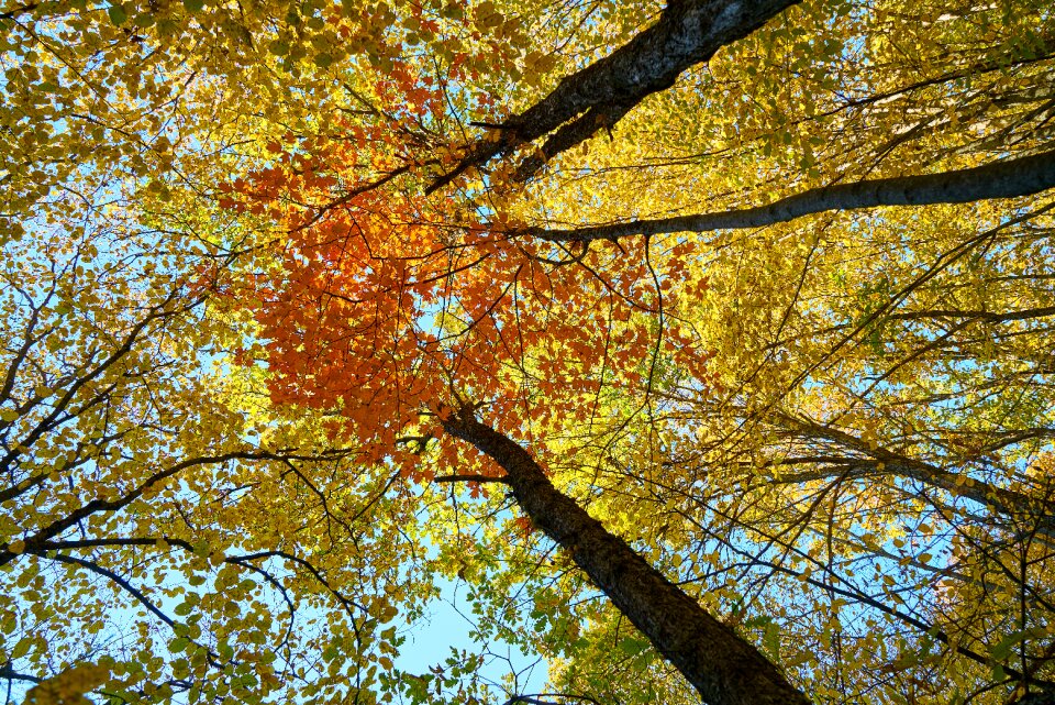 Nature beautiful background