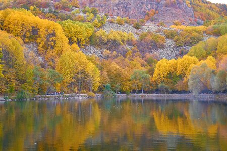 Nature beautiful background