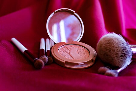 Brush makeup powder