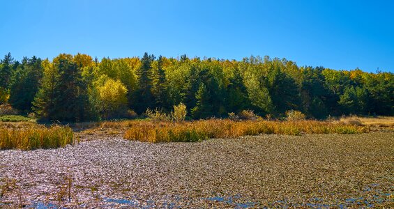 Nature beautiful background photo