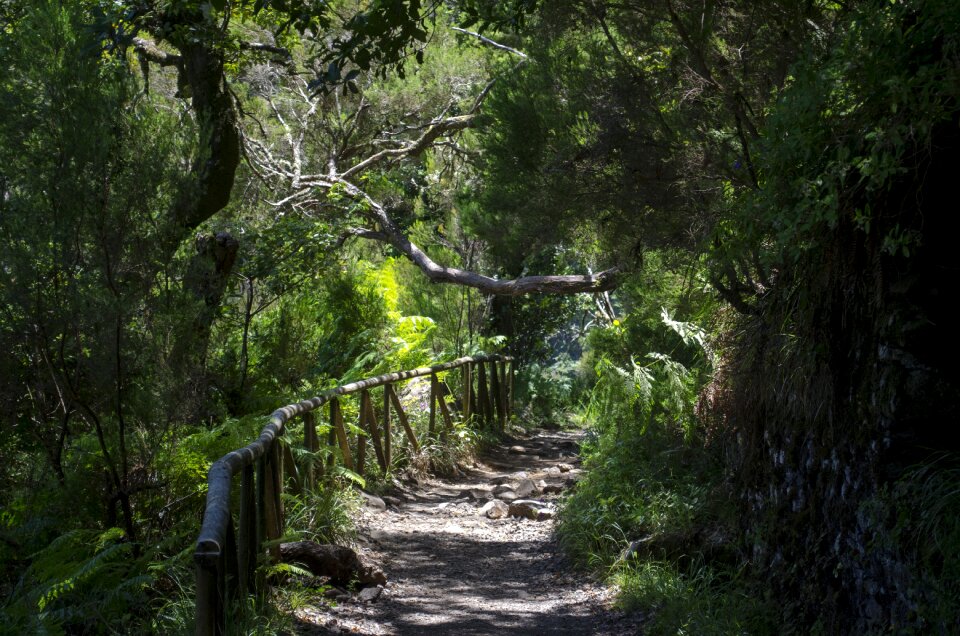 Nature landscape portugal