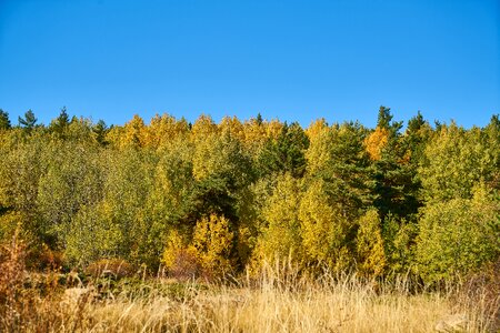 Autumn sky blue photo