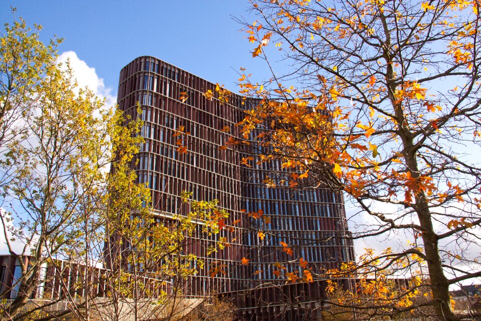 Panum department learning environment