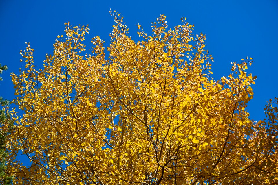 Nature beautiful background