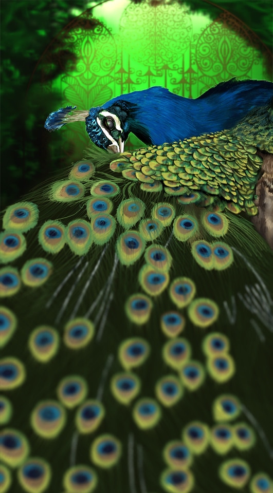 Drawing fauna animals