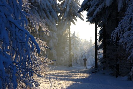 Cold blue sky snowy