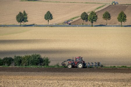Cereals agriculture arable photo
