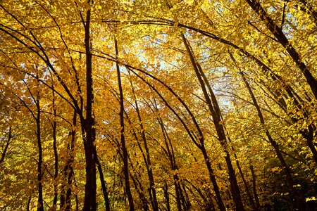Nature beautiful background
