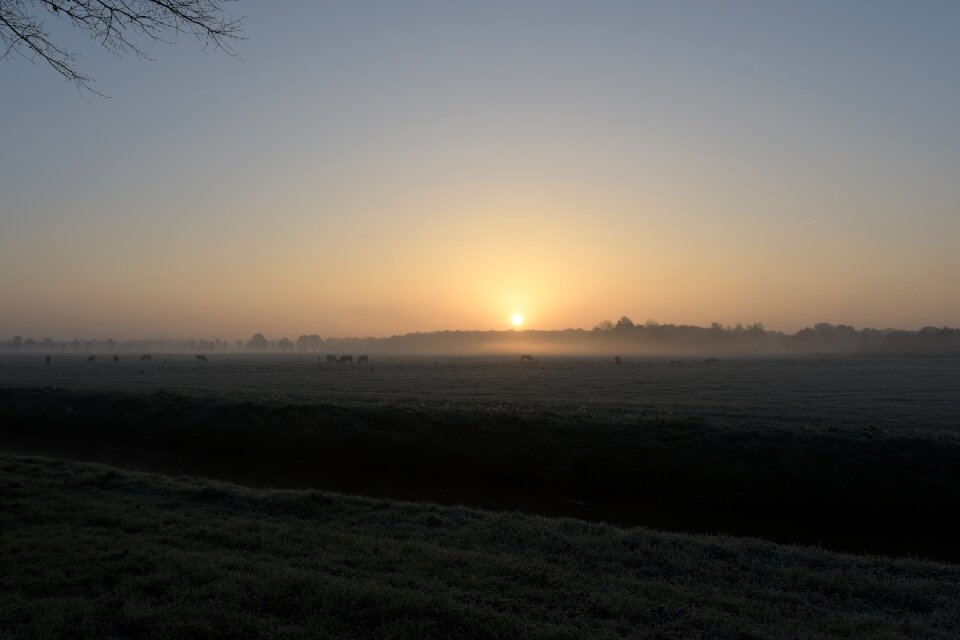 Sun fog landscape photo