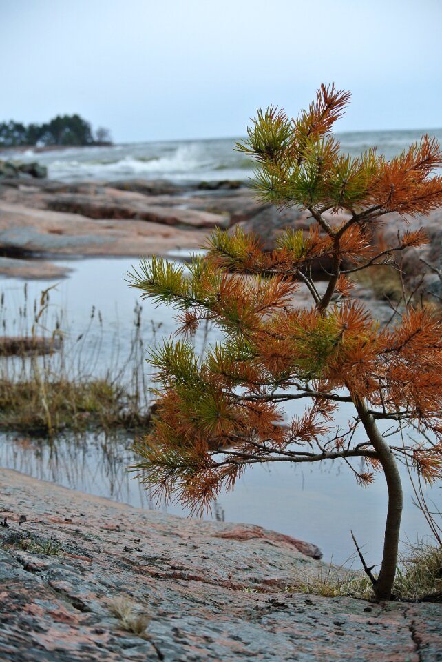 Landscape sea rock