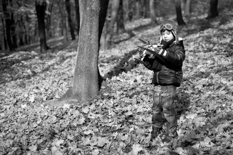 Photo leaves forest