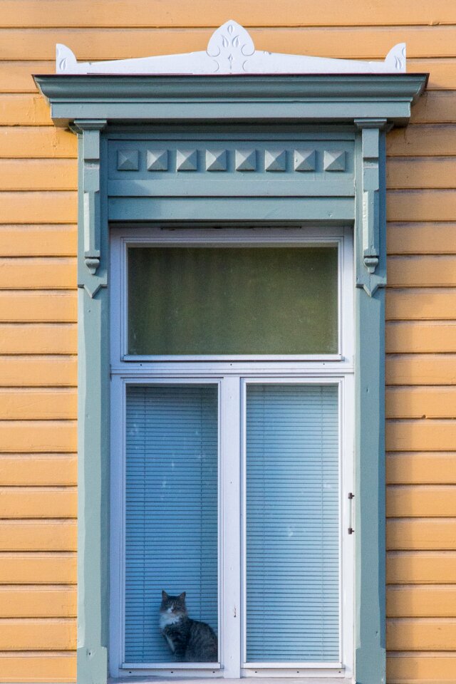 House window architecture