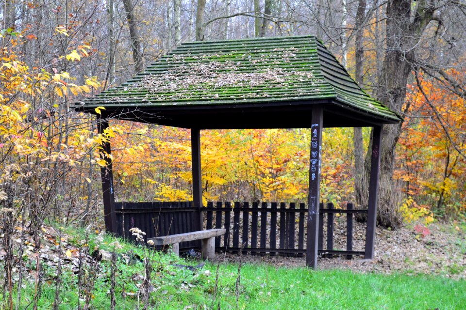 Autumn gold garden terrace poznan