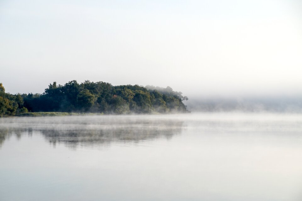 Mood forest fog