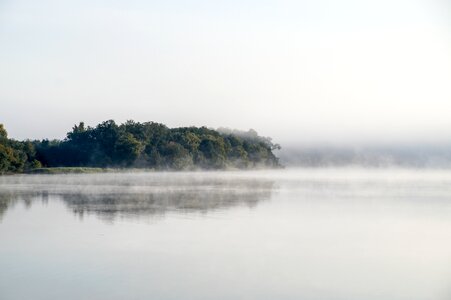Mood forest fog photo