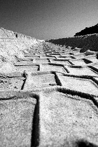 Koleina tire track tire