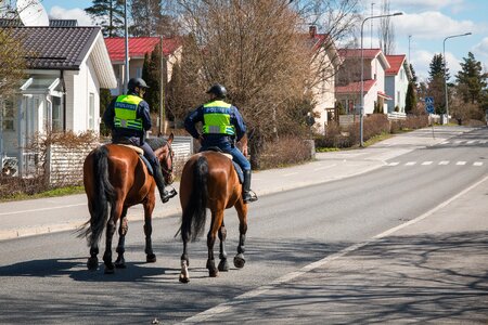 Horse city helsinki