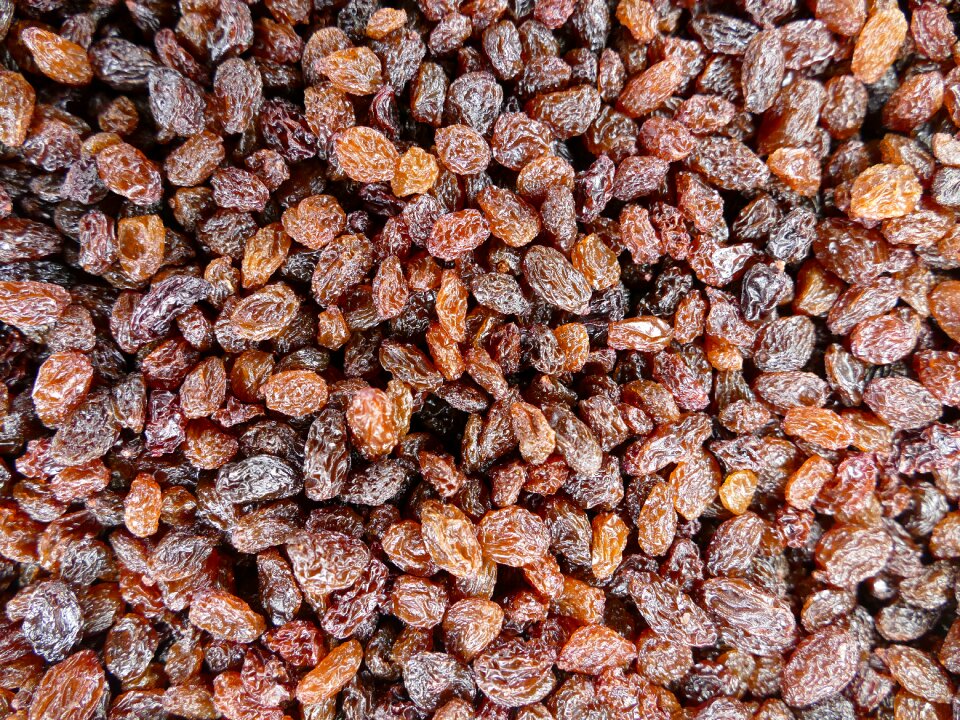 Currants wine berries bake food