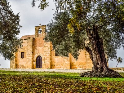 Cyprus tersefanou ayios georgios arperas