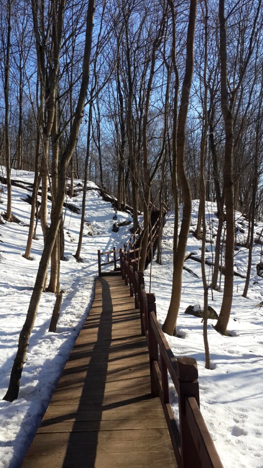 Nature city park snow