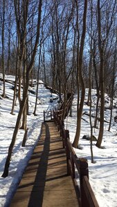 Nature city park snow