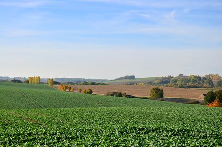 Arable landscape sky
