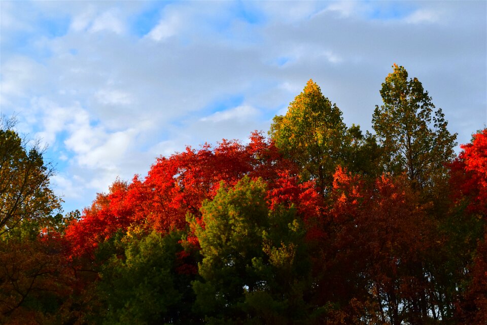 Red autumn sky photo