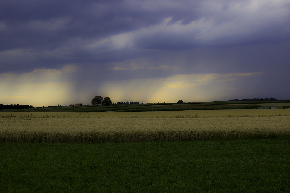 Thunderstorm summer rain sunset