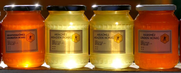 Hungary food honey