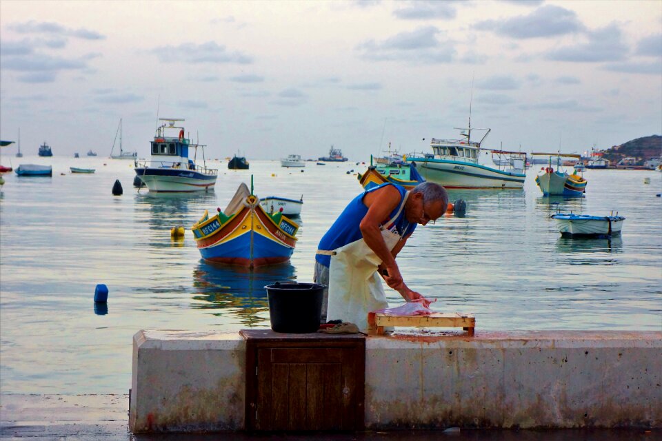 Fish prepare malta morning