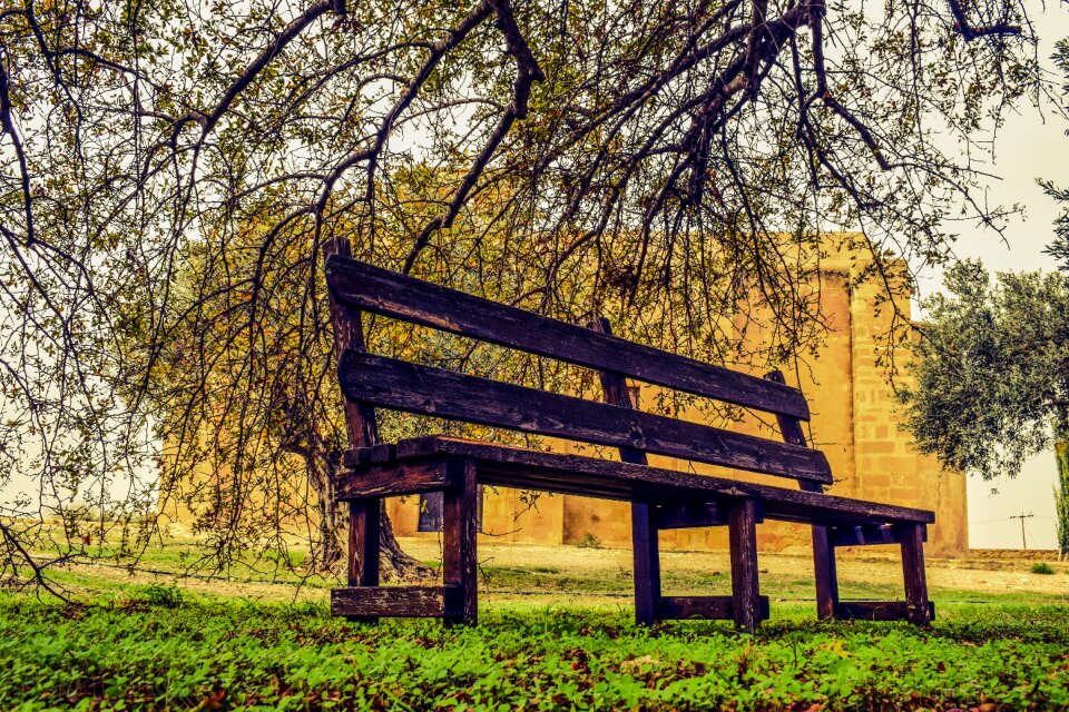 Park bench garden peaceful
