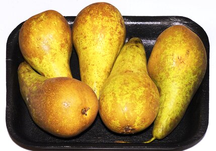 Precious fruit old variety pyrus communis