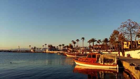 Resort yachts palm trees