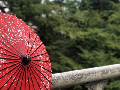 Umbrella bridge the scenery