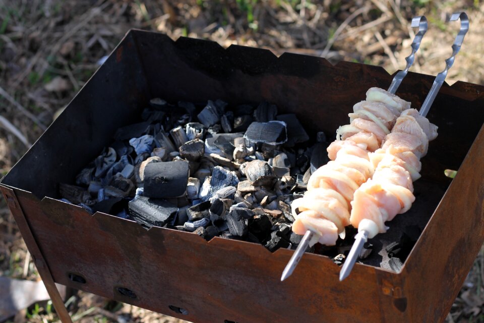 Skewers mangal fried meat