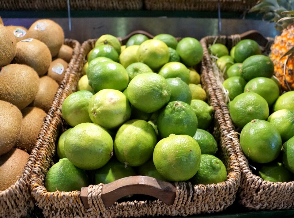 Citrus eat citrus fruits