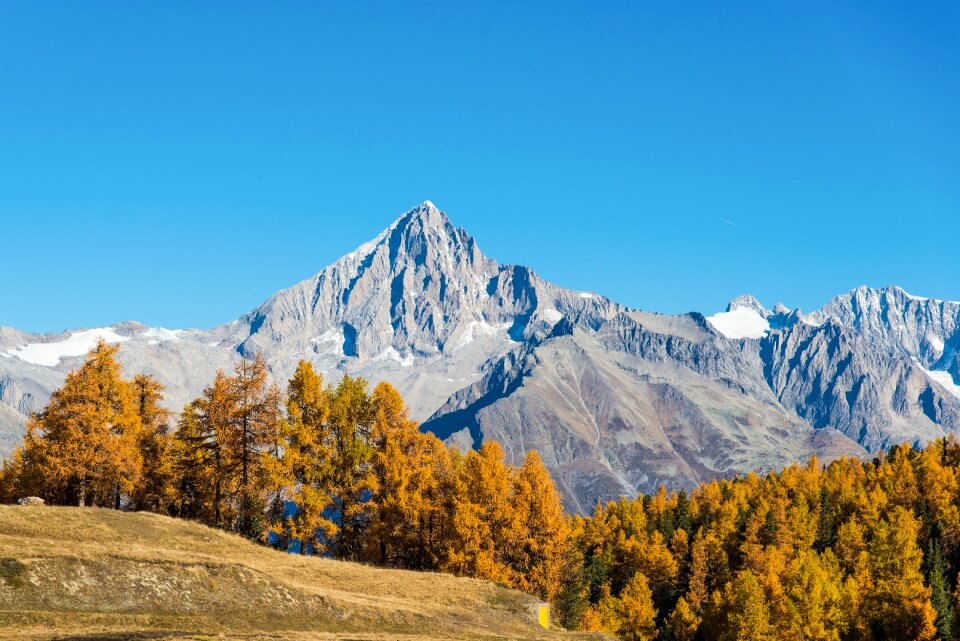Valais bietschhorn autumn