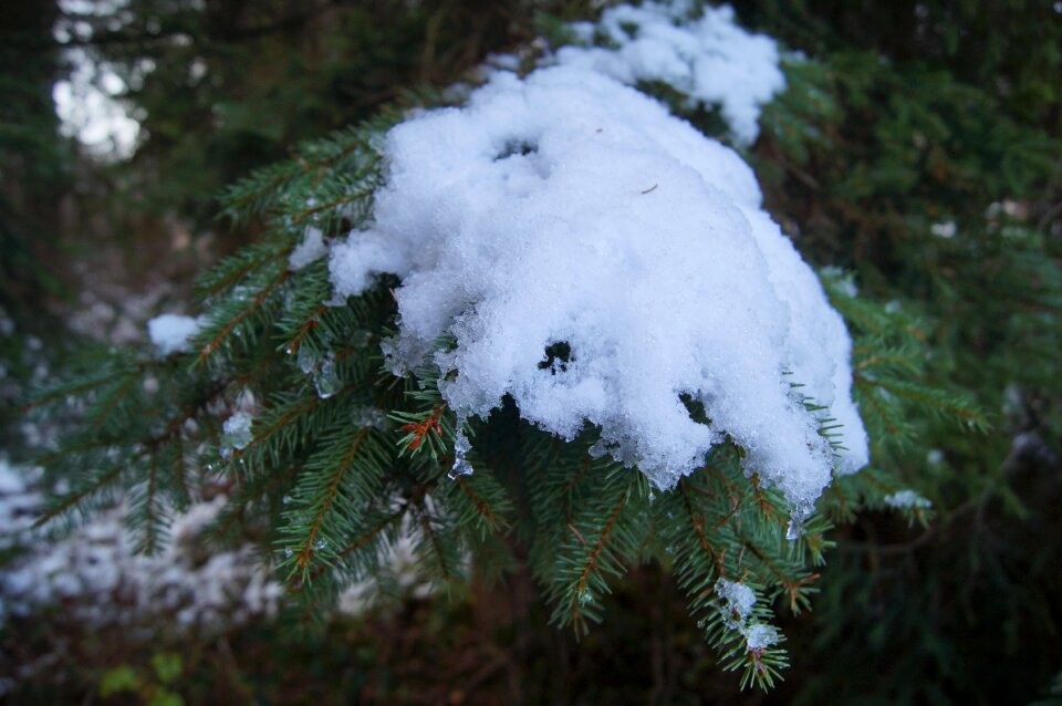 Cold wintry iced