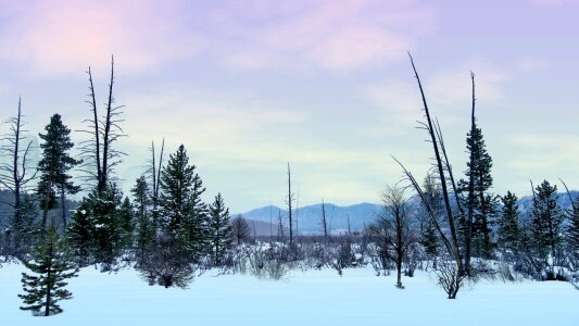 Natural landscape winter relax